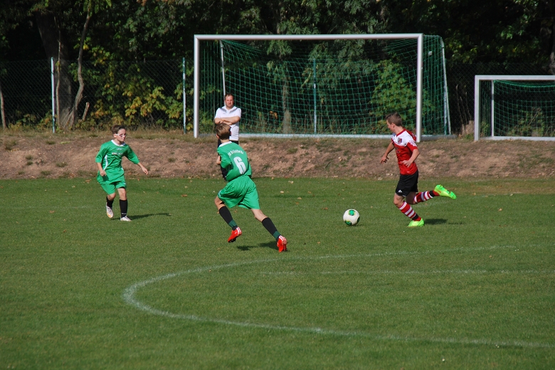 780x5205.ST Grimme-BSG 4.10 (23).JPG